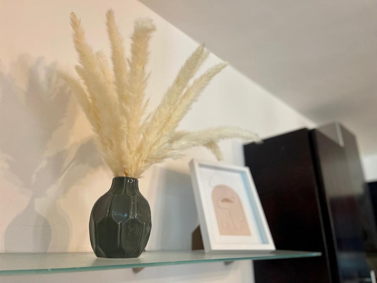 Apartmento Centro Playa Tendenza Πλάγια Ντελ Κάρμεν Εξωτερικό φωτογραφία